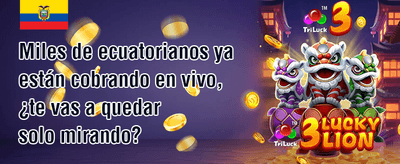 Combo Ganador 010 promotion